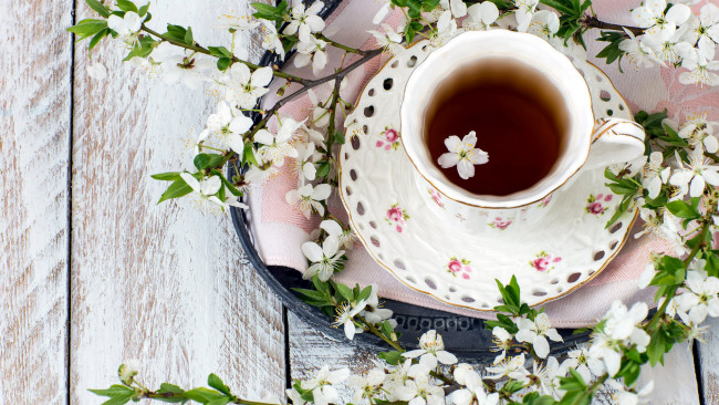 Обои картинки фото еда, напитки,  чай, цветущие, ветки, чай, чашка