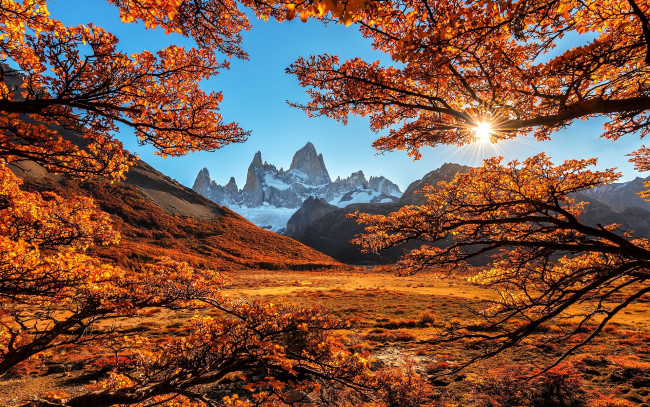 Обои картинки фото природа, пейзажи, осень, деревья, пейзаж, горы