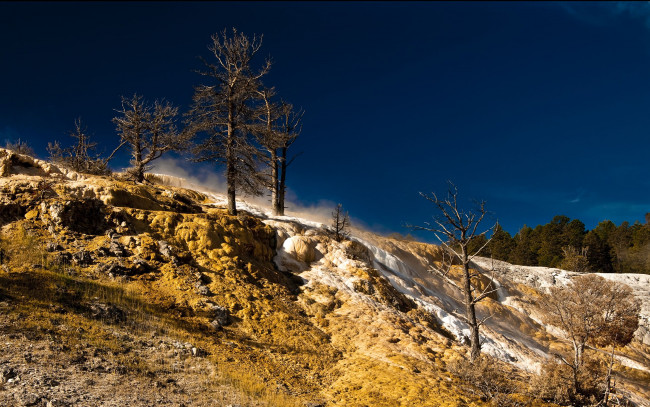 Обои картинки фото yellowstone, national, park, природа, деревья