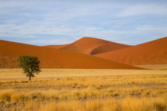 Картинка природа пустыни песчаные дюны