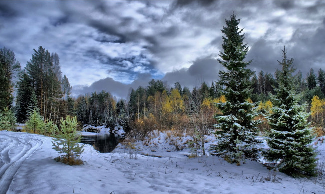 Обои картинки фото природа, зима, ели, снег, облака, вода