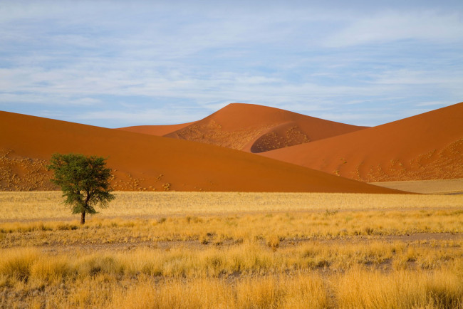Обои картинки фото природа, пустыни, песчаные, дюны