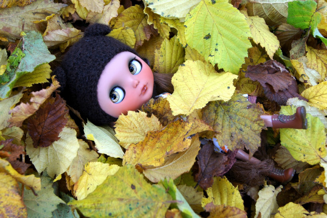 Обои картинки фото разное, игрушки, листья, осень, кукла