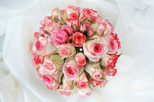 Обои картинки фото цветы, розы, букет, круглый
