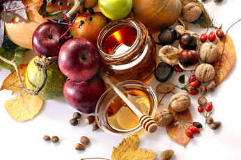 Картинка еда разное каштаны шиповник мед орехи яблоки