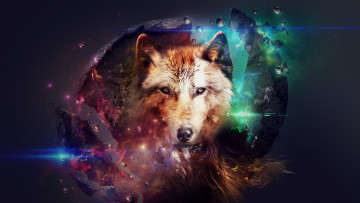 Картинка разное компьютерный дизайн волк
