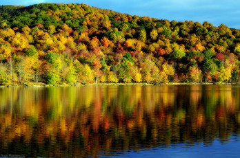 Картинка природа реки озера осень озеро отражение лес