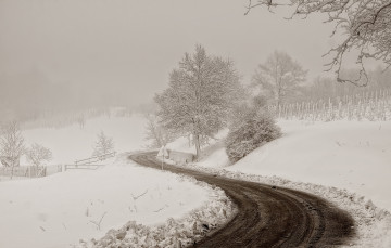 Картинка природа зима пейзаж снег дорога