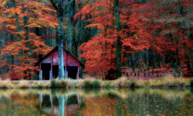 Обои картинки фото природа, реки, озера, вода, отражение, домик, осень, деревья, лес