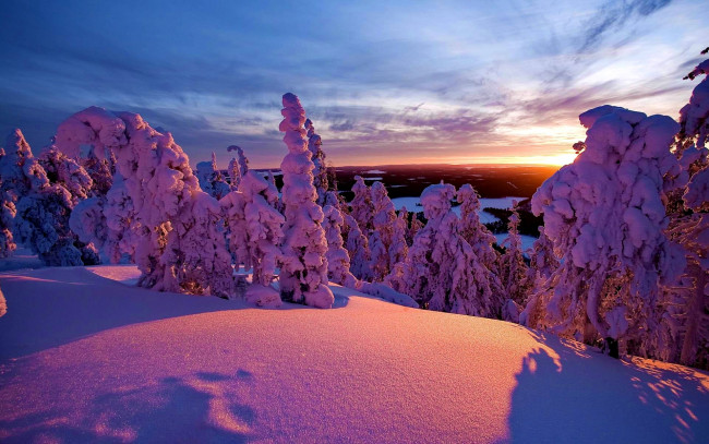 Обои картинки фото природа, зима, деревья, снег, облака