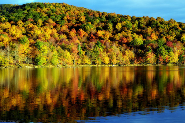 Обои картинки фото природа, реки, озера, осень, озеро, отражение, лес