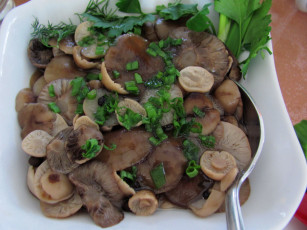 Картинка еда грибы +грибные+блюда опята маринованные