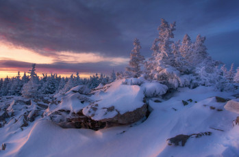 Картинка природа зима холод деревья снег россия