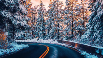 Картинка природа дороги поворот снег шоссе зимняя трасса
