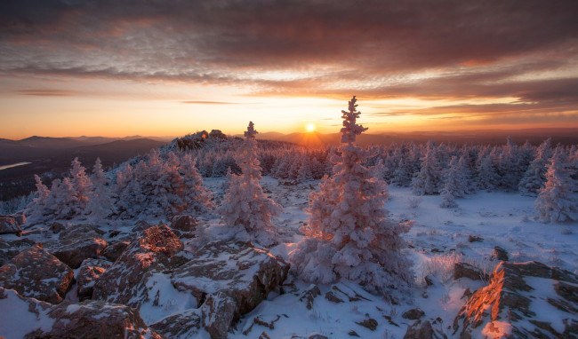 Обои картинки фото природа, восходы, закаты, деревья, зима, холод, россия, солнечный, свет
