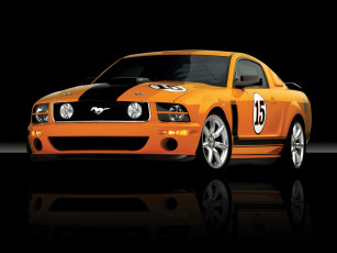 Картинка 2007 saleen 302 parnelli jones limited edition mustang автомобили ford