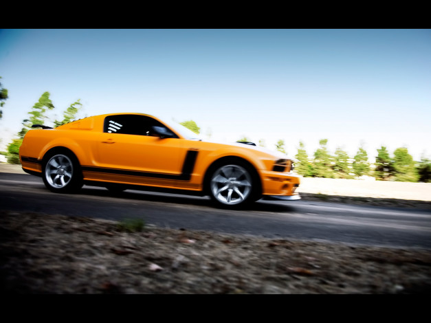 Обои картинки фото 2007, saleen, 302, parnelli, jones, limited, edition, mustang, автомобили, ford