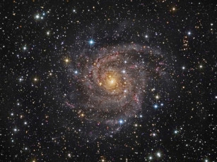 Картинка галактика ic 342 космос галактики туманности