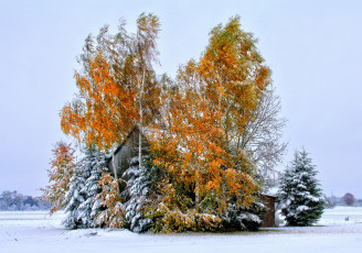 Картинка германия лаупхайм природа зима снег