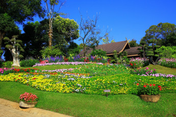 Картинка природа парк сад цветы