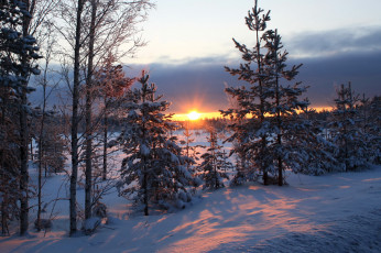 Картинка природа зима лес снег закат