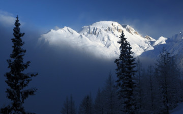 Картинка nevada mountains природа горы вершина снега лес