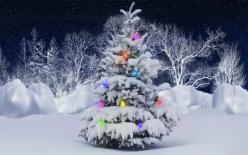Картинка праздничные Ёлки лампочки елка снег