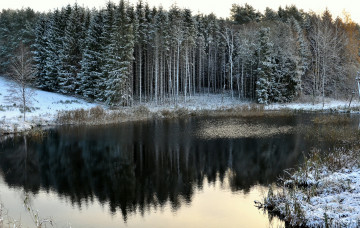 Картинка литва пренай природа зима лес река снег