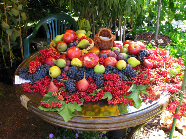 Обои картинки фото еда, фрукты, ягоды, виноград, яблоки, слтвы, груши