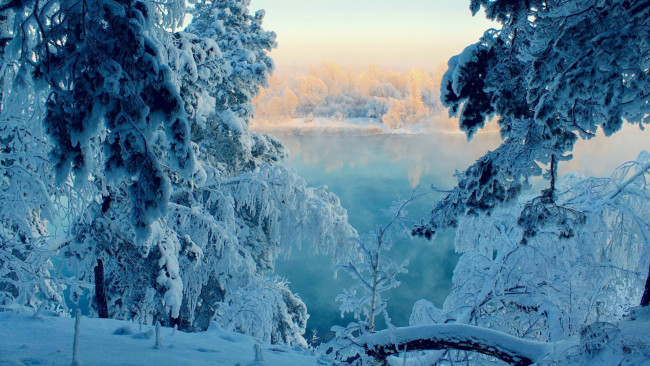 Обои картинки фото природа, зима, лед, снег, озеро, лес