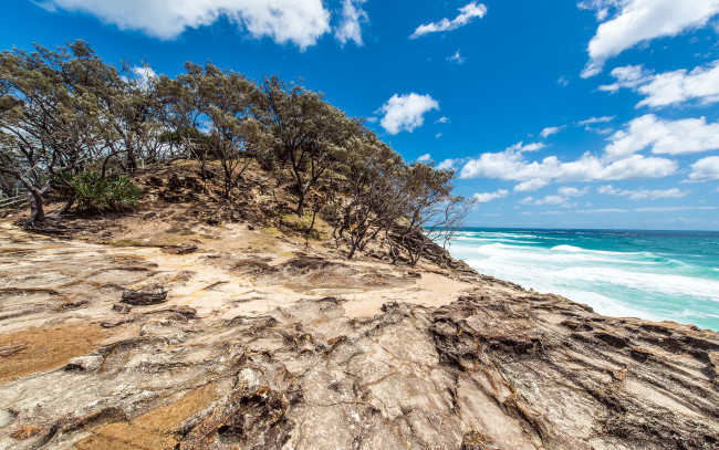 Обои картинки фото north, stradbroke, island, queensland, australia, природа, побережье, австралия, океан, деревья