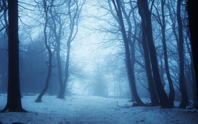 Обои картинки фото природа, зима, дымка, лес, снег