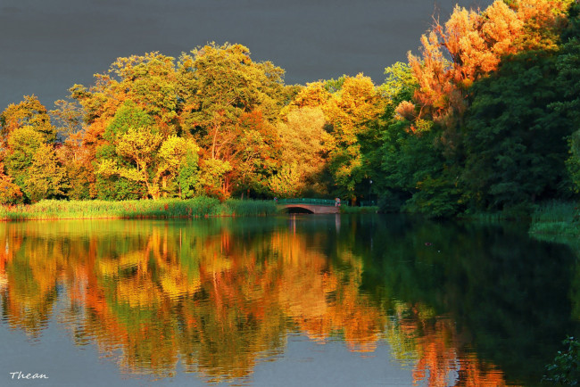 Обои картинки фото природа, парк, озеро, мостик, деревья, осень