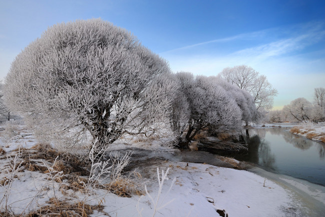 Обои картинки фото природа, зима, лес