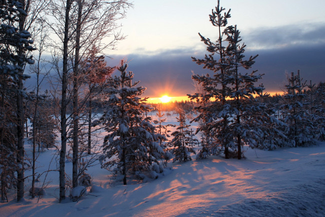 Обои картинки фото природа, зима, лес, снег, закат