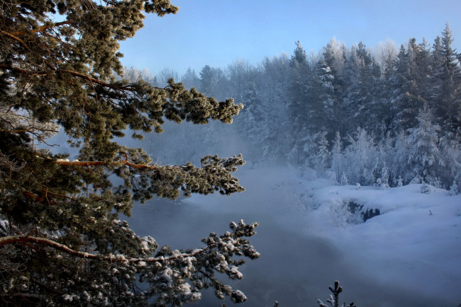 Обои картинки фото природа, зима, мороз, снег, лес