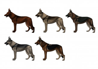Картинка рисованные животные +собаки собаки