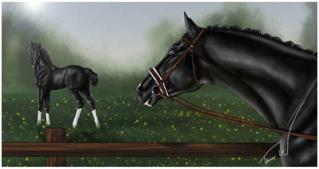 Обои картинки фото рисованные, животные,  лошади, лошадка, лошадь