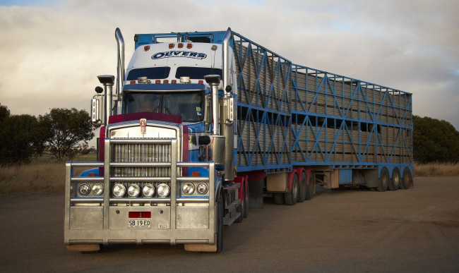 Обои картинки фото kenworth, автомобили, автобусы, truck, company, грузовые, сша