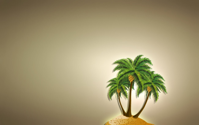 Обои картинки фото рисованные, минимализм, пальма, остров, светлый, фон, кокос