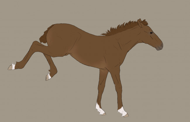 Обои картинки фото рисованные, животные,  лошади, лошадь