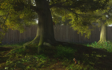 Картинка 3д+графика природа+ nature забор дерево