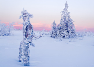 Картинка природа зима ель снег деревья облака небо