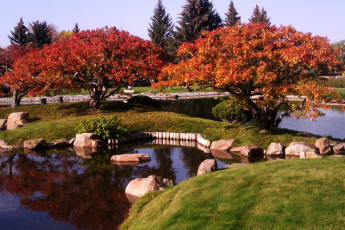 Картинка природа парк водоем камни деревья