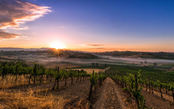 Картинка природа поля утро туман италия дома плантации деревья рассвет тоскана солнце холмы лучи небо виноградники