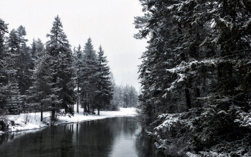 Картинка природа реки озера река елки снег