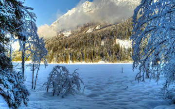 Картинка природа зима горы облака снег деревья