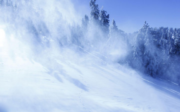 Картинка природа зима мороз снежная буря метель снег холод деревья пейзаж ветер