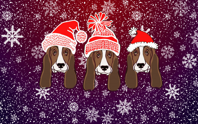 Обои картинки фото праздничные, векторная графика , новый год, рождество, снег, фон, настроение, праздник, 2018, год, собаки, морды, минимализм, зима, шапки, новый