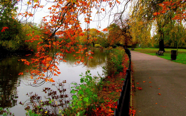 Обои картинки фото природа, парк, река, аллея, осень, листопад